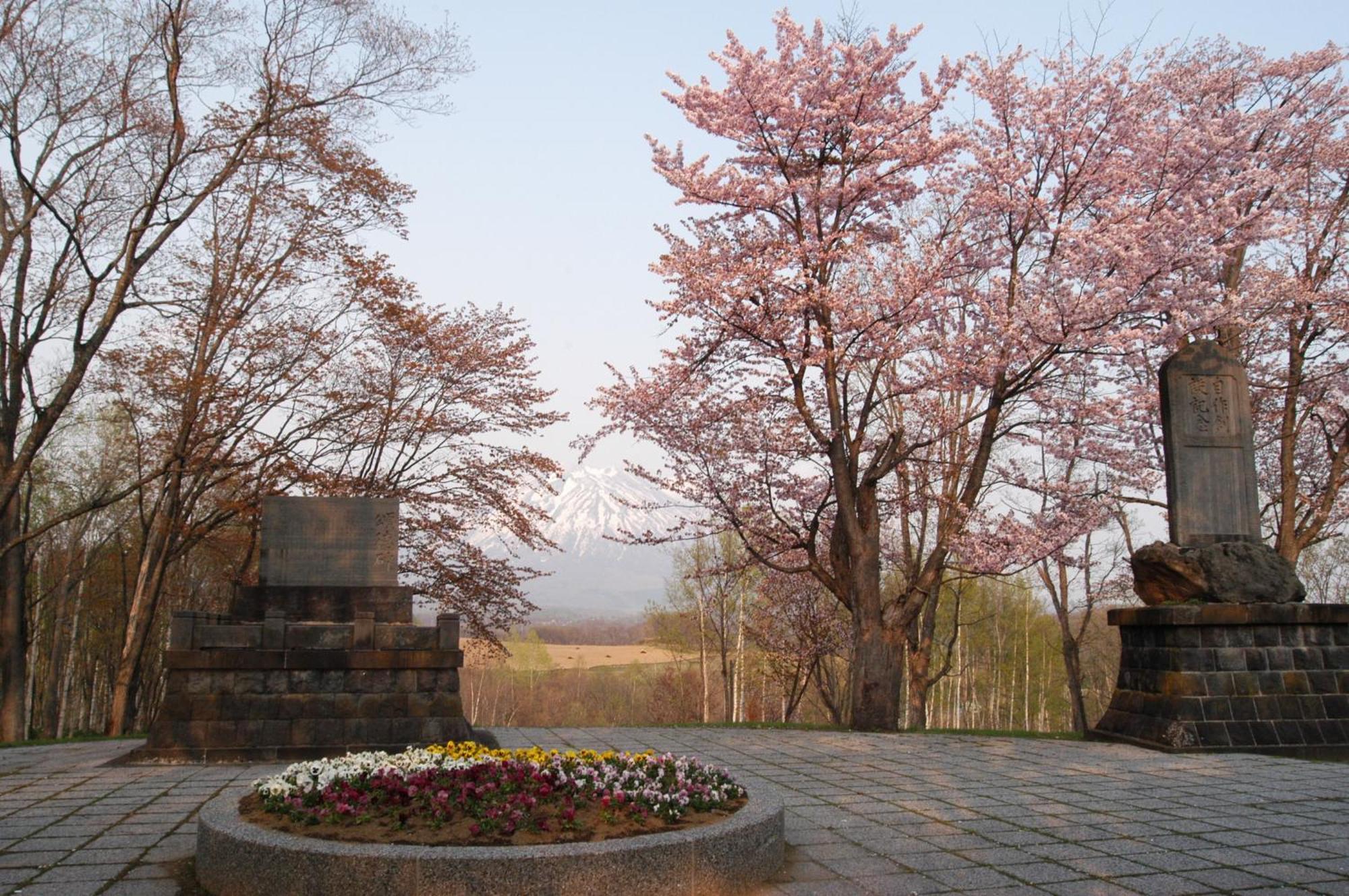 Niseko Highland Cottages Exterior foto